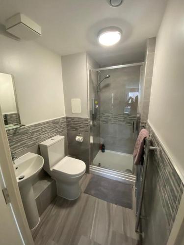 a bathroom with a toilet and a shower and a sink at Fabulous 3 Bedroom Flat in Edinburgh