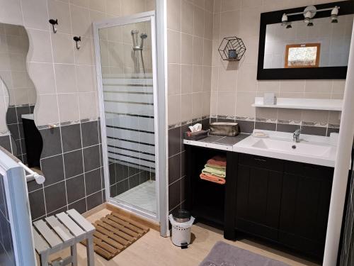Brégnier-Cordon的住宿－Gite D'étape Et De Séjour Les Sables，一间带水槽和淋浴的浴室