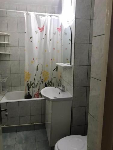 a bathroom with a toilet and a sink and a shower curtain at Apartament confortabil in Piteşti