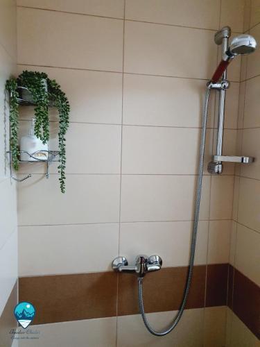 Bilik mandi di Teodor Chalet