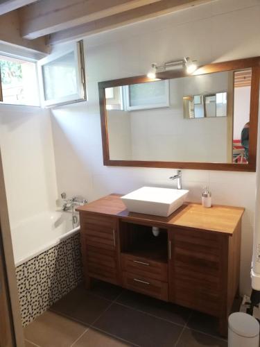 une salle de bain avec un lavabo et un miroir dans l'établissement Gîte 4 personnes vue sur les pins proche de la Dune du Pilat, entre lac, Bassin et plages océanes, à La Teste-de-Buch