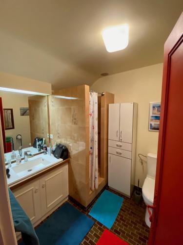 une salle de bain avec un lavabo et des toilettes dans l'établissement Maison 5 chambres à Lamotte, entre canal et centre équestre, à Lamotte-Beuvron