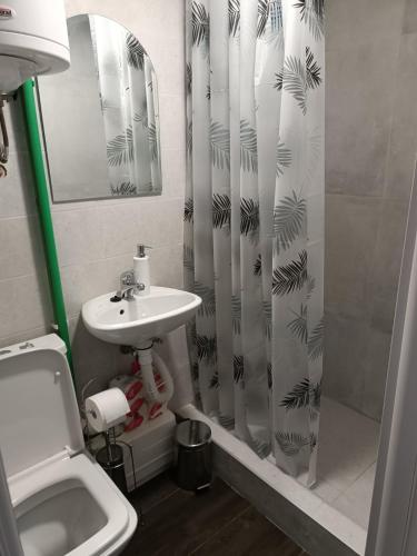 a bathroom with a sink and a shower curtain at Apartment Dunav in Novi Sad