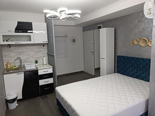 Il comprend une chambre avec un lit et une cuisine avec un évier. dans l'établissement Apartment 1 Novi Sad, à Novi Sad