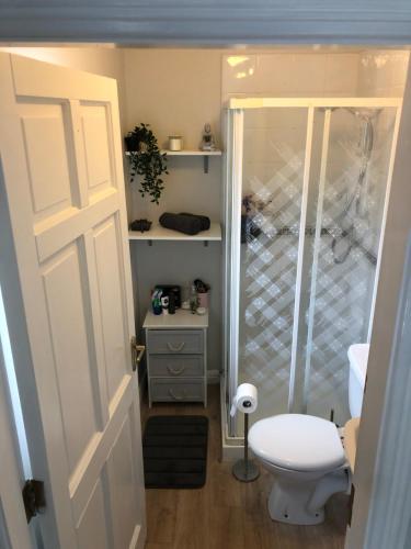 a bathroom with a toilet and a walk in shower at Fraunhill in Swinford