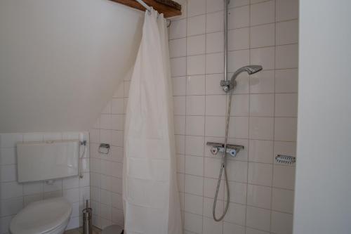 a bathroom with a shower with a shower curtain at De Hilde in Zutphen