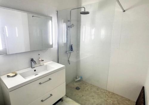 uma casa de banho branca com um lavatório e um chuveiro em Superbe Studio tout équipé/Proche mer et commodité em Saint-Laurent-du-Var