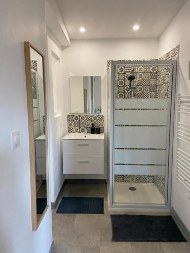 a bathroom with a shower with a sink and a mirror at Maisonnette cosy à 10 mn de Nantes in Rezé