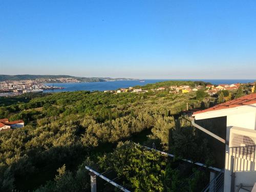 Fotografie z fotogalerie ubytování House among olive trees with a sea view 1 v destinaci Ankaran
