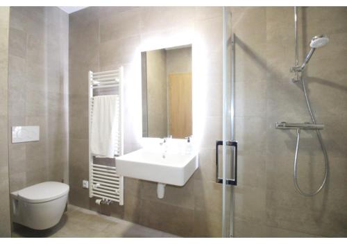 een badkamer met een wastafel, een douche en een toilet bij Apartman 22, Rezidence & Wellness Javor in Železná Ruda