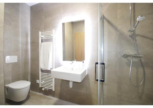 a bathroom with a sink and a shower and a toilet at Studio Apartman 22, Rezidence Javor in Železná Ruda