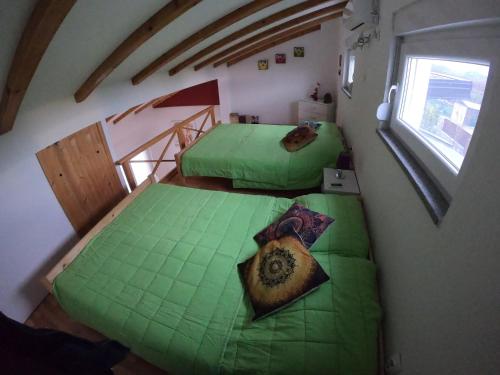 three green beds in a room with a window at Villa Lyra in Trebinje
