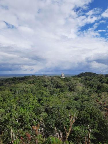 a view of a forest with a dome in the distance at Hotel Colibrí Petén in Santa Elena