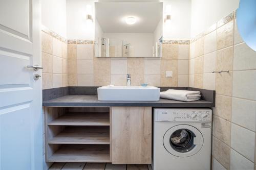 uma casa de banho com um lavatório e uma máquina de lavar roupa em Ferienhaussiedlung Strandperlen Sanddornhof 4b (Typ IX) em Wustrow