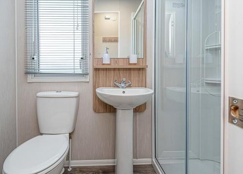 a bathroom with a toilet and a sink and a shower at Woodlands Hall in Ruthin
