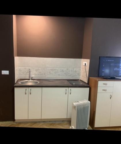 a kitchen with a sink and a tv on a counter at Positive apartmant in Podgorica