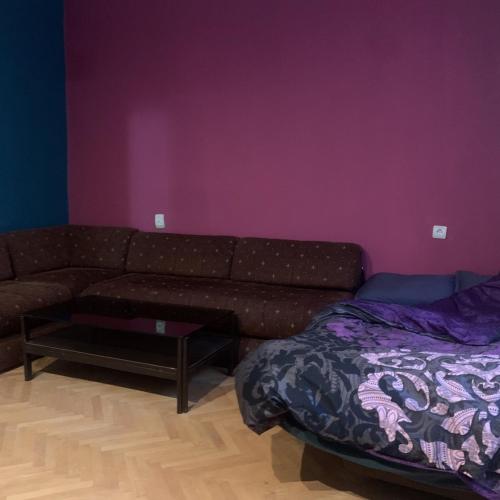 salon z kanapą i łóżkiem w obiekcie Positive apartmant w mieście Podgorica