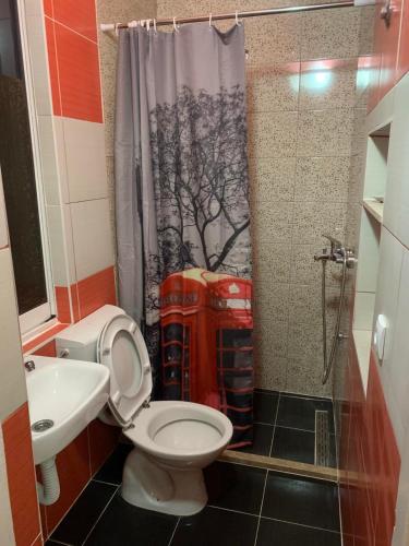 łazienka z toaletą i zasłoną prysznicową w obiekcie Positive apartmant w mieście Podgorica