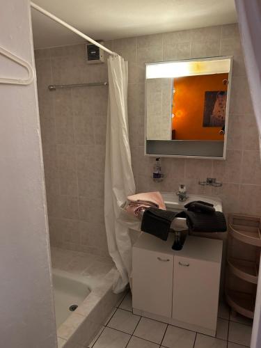 Charming Room in the heart of Locarno في لوكارنو: حمام مع دش ومغسلة وحوض استحمام