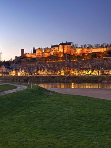 widok na miasto z rzeki w obiekcie Le Rabelais, superbe appartement en duplex, proche forteresse et monument historique w mieście Chinon