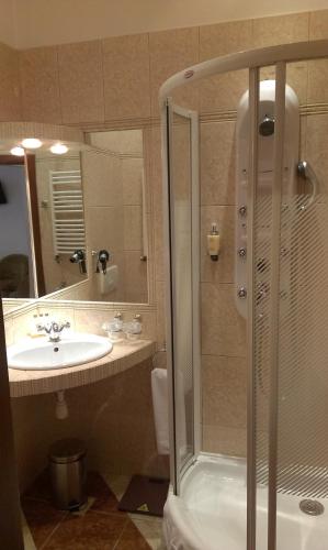 a bathroom with a shower and a sink at Hotel Bristol in Tarnów
