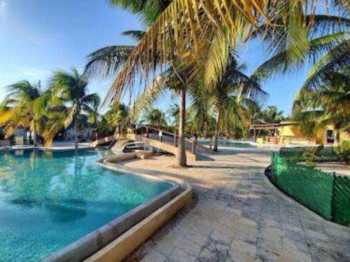 a swimming pool with palm trees in a resort at Beachfront apartment with swimming pool. One bedroom in Celestún