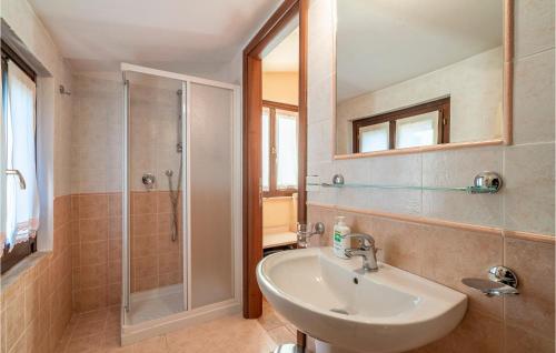 ein Bad mit einem Waschbecken und einer Dusche in der Unterkunft Cozy Home In San Giovanni With Wifi in Montefiore dellʼAso