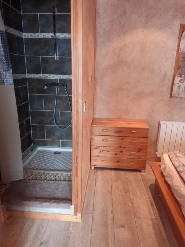 La salle de bains est pourvue d'une douche et d'une commode en bois. dans l'établissement Appart La Porte des Neiges - Saint Jean de Sixt (La Clusaz, Le Grd Bornand), à Saint-Jean-de-Sixt