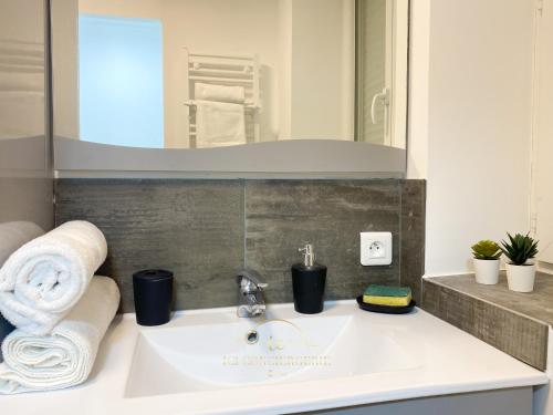 La salle de bains est pourvue d'un lavabo et d'un miroir. dans l'établissement Le Cocon de Saint Arnoult, à Saint-Arnoult-en-Yvelines