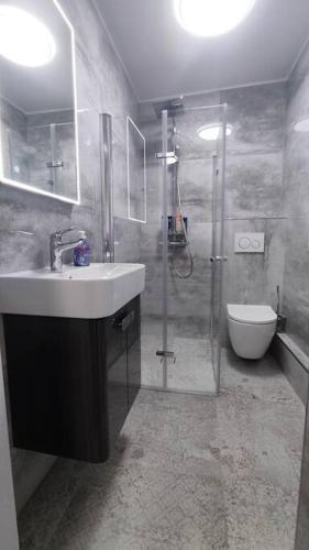 a bathroom with a sink and a shower and a toilet at Schönes gemütliches Haus TopLage in Freinsheim