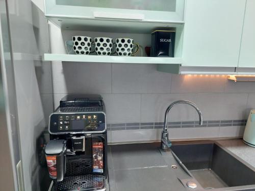 a kitchen with a sink and a coffee maker in a kitchen at Ivančica in Aljmaš