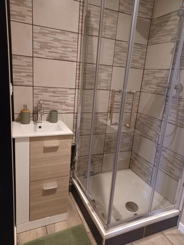 a bathroom with a shower and a sink at Studio proche circuit Prenois in Prenois