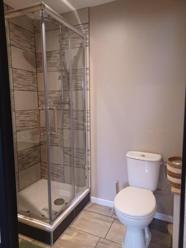 a bathroom with a shower and a toilet at Studio proche circuit Prenois in Prenois