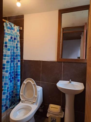 a bathroom with a toilet and a sink and a mirror at La Ramada de Mama Elena in Oxapampa