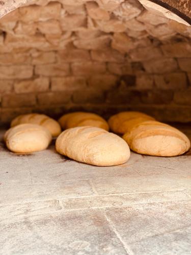 a group of loaves of bread in an oven at Agriturismo AgrileisureTime in Spoleto