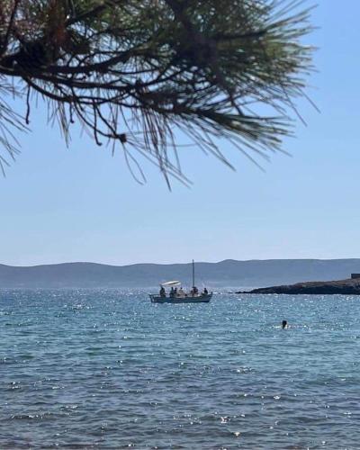Φυσικό τοπίο κοντά σε αυτό το διαμέρισμα
