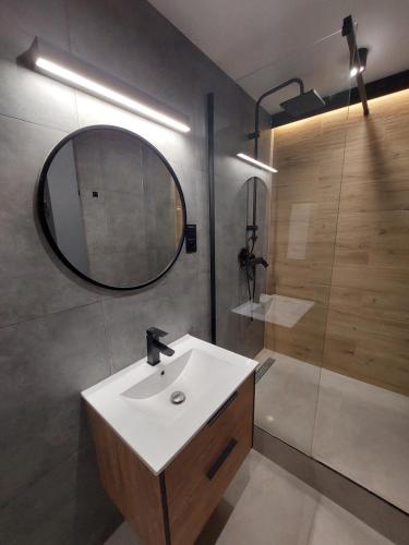 een badkamer met een wastafel, een spiegel en een douche bij FRIENDS House in Gorzów Wielkopolski