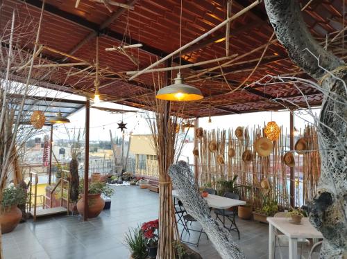 a restaurant with tables and chairs and trees at Posada del Fraile in Tepotzotlán