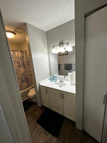 a bathroom with a white sink and a toilet at Glamour Homes with balcony view, free champagne, parking next to major attractions in Bloomington