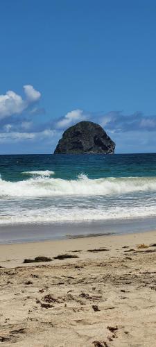 a beach with a rock in the ocean with waves at Ti-Diamant Plage du Diamant- 4 Pers- Clim- WIFI in Le Diamant