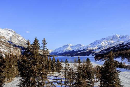 a view of a snowy mountain range with trees and a lake at Maloja Palace Residence Engadin-St Moritz CO2-Neutral in Maloja
