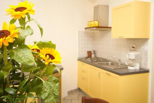 Virtuvė arba virtuvėlė apgyvendinimo įstaigoje Appartamenti Chiarina