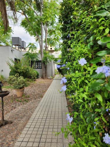 Κήπος έξω από το Paso de los Andes 1450 Mendoza Suites