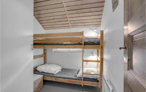 HelberskovにあるStunning Home In Hadsund With 3 Bedrooms, Sauna And Indoor Swimming Poolの天井の客室には二段ベッド付きのベッドルームがあります。