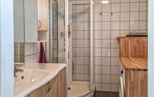 ein Bad mit einem Waschbecken und einer Dusche in der Unterkunft Amazing Home In Risr With Wifi in Risør