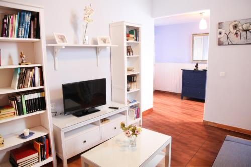 sala de estar con TV y estanterías en Casa Centro Jerez Marques, en Jerez de la Frontera