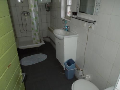 a small bathroom with a toilet and a sink at Holiday Home on Liepajas Street in Aizpute