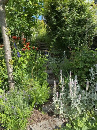 Ein Garten an der Unterkunft Treghan Luxury Lodge