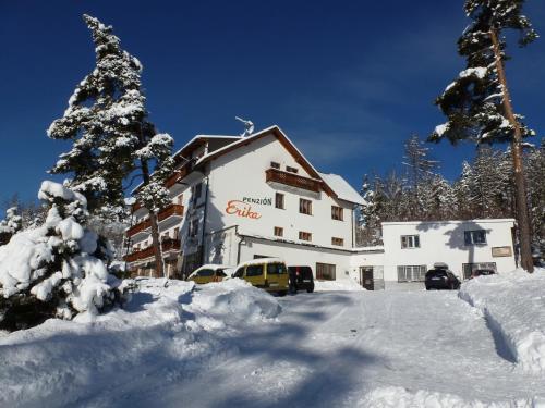 ein schneebedecktes Gebäude mit einem Baum davor in der Unterkunft Erika penzión in Vysoke Tatry - Tatranska Lesna