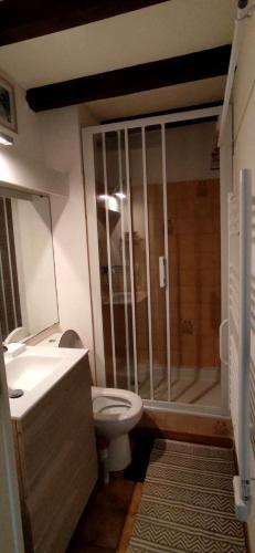 une salle de bain avec toilettes, lavabo et douche dans l'établissement Appartement cosy avec vue sur la Marina - Résidence parking privé, à Saint-Cyprien